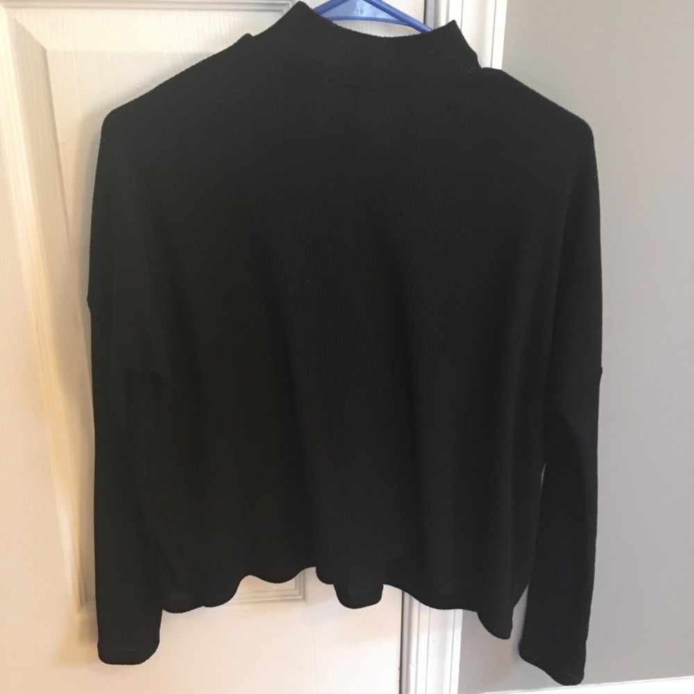 Black, long sleeve, turtle neck crop top
